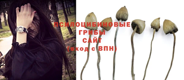 ГАЛЛЮЦИНОГЕННЫЕ ГРИБЫ Алзамай
