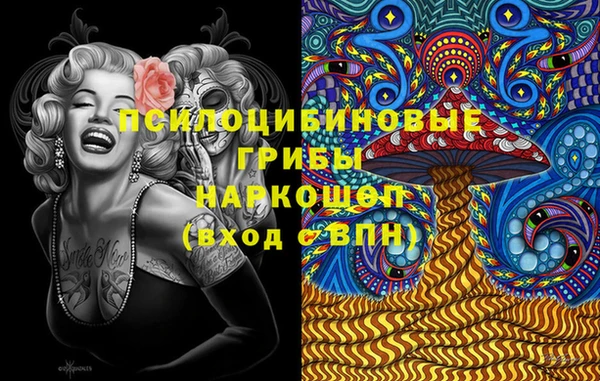 ГАЛЛЮЦИНОГЕННЫЕ ГРИБЫ Алзамай