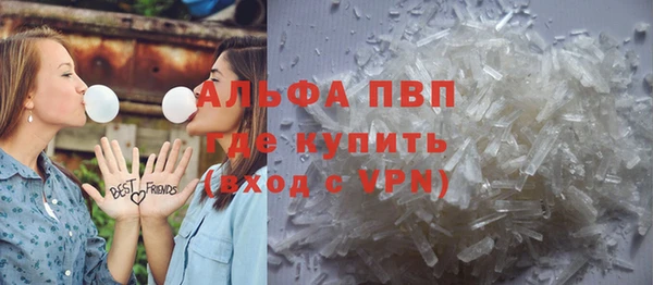 индика Алагир
