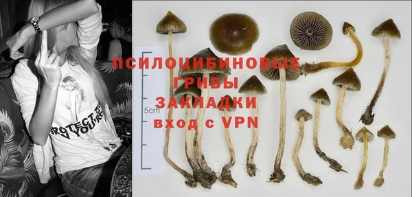 трава Алексин