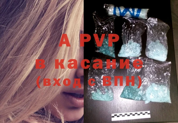 прущие грибы Аркадак